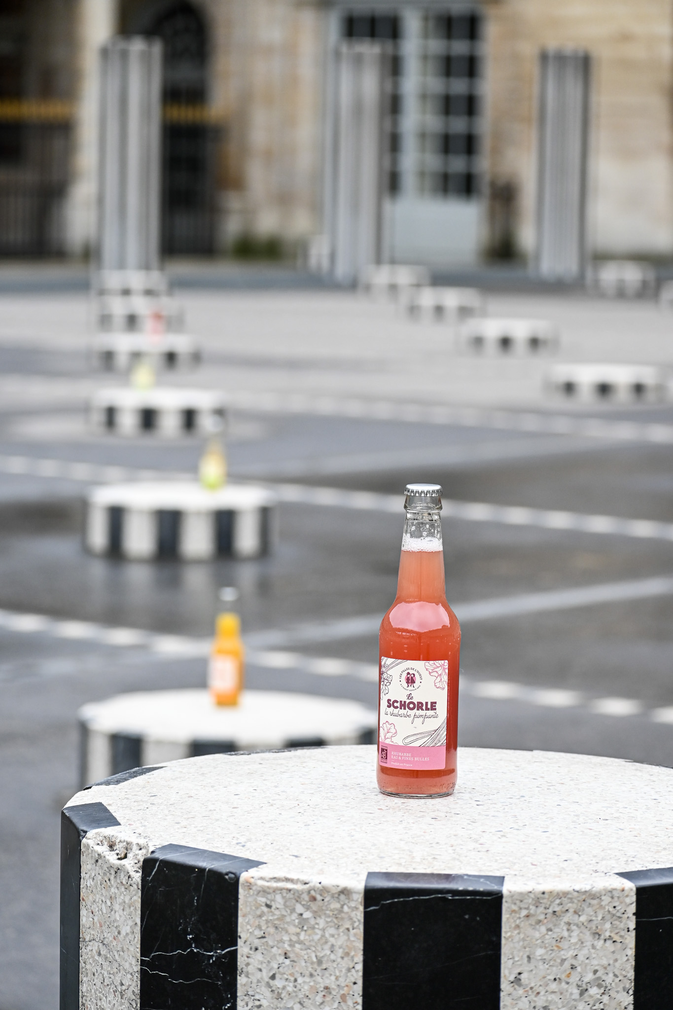 La Rhubarbe<br>Pimpante – Image 3