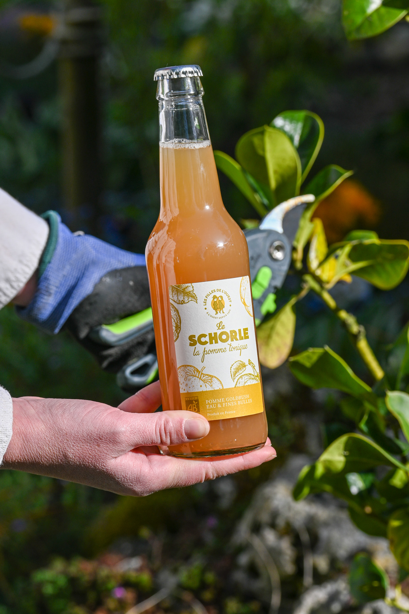 La Pomme<br>Tonique – Image 2