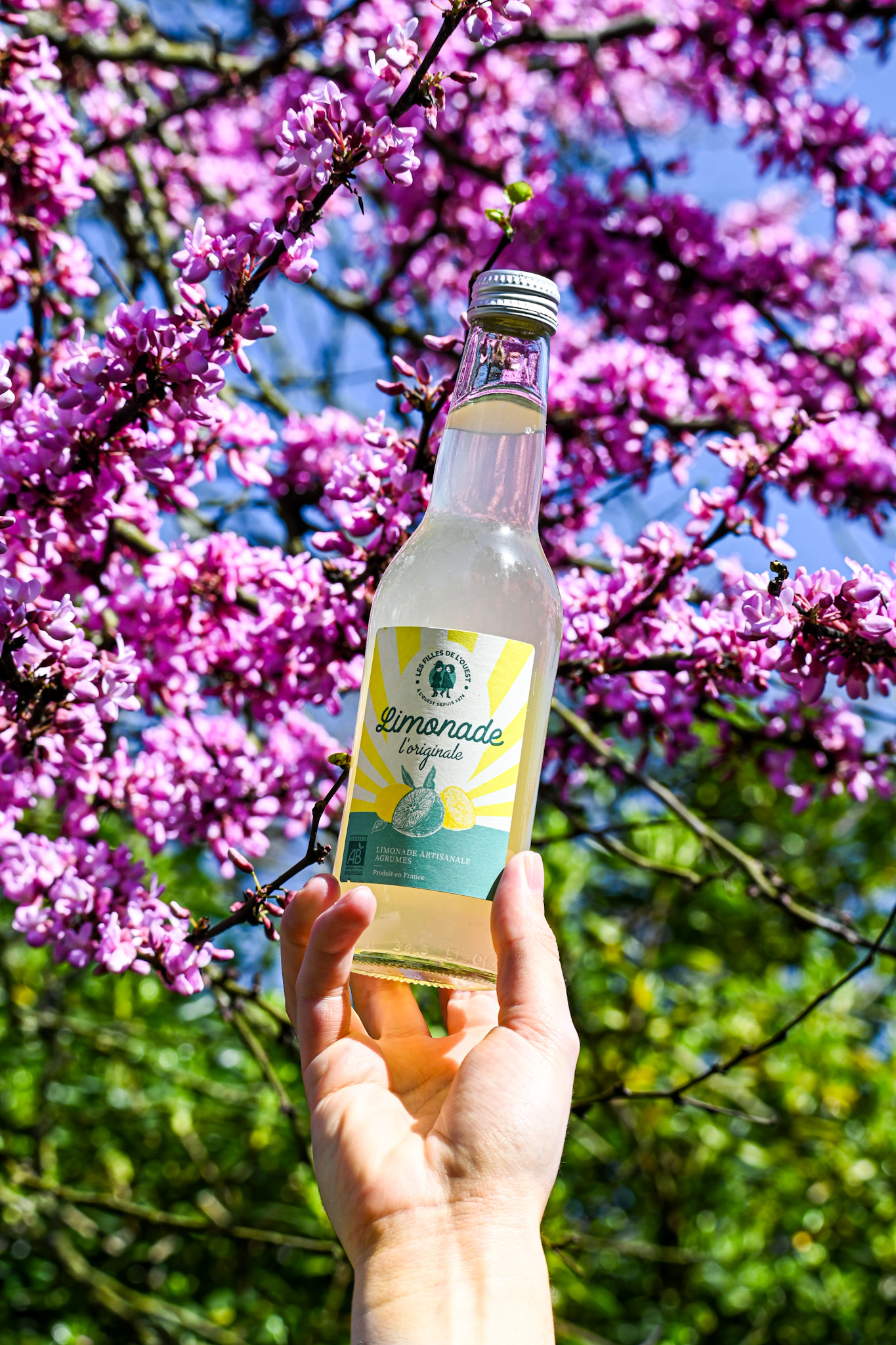 La Limonade L'Originale – Image 4