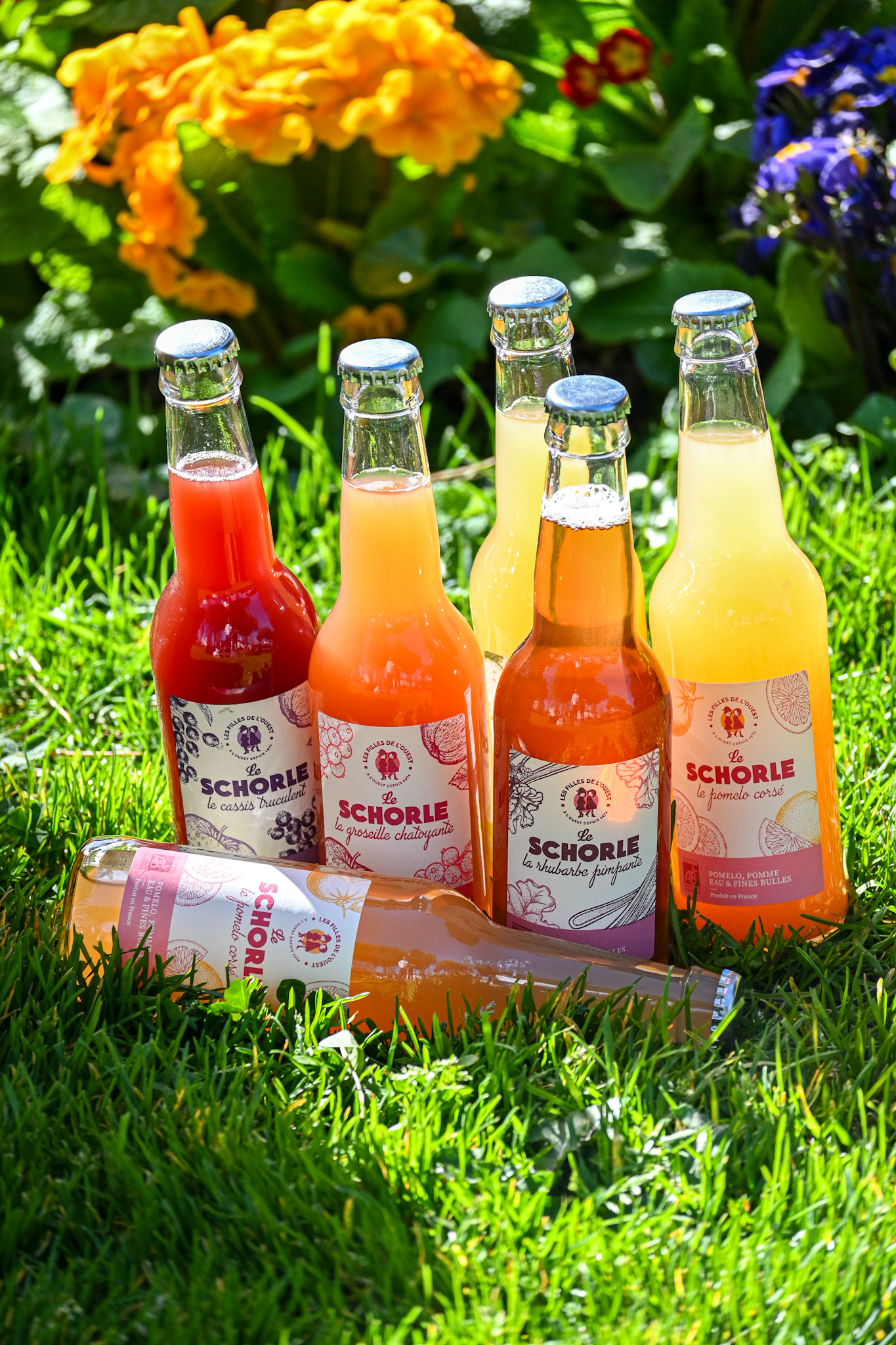 Le Pack Découverte<br>La gamme – Image 5