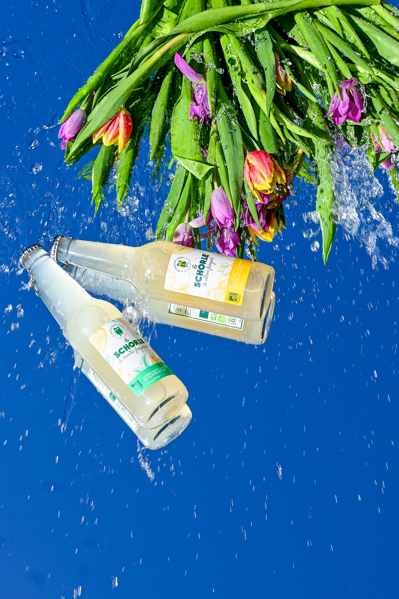 Le Citron<br>Fringant – Image 4