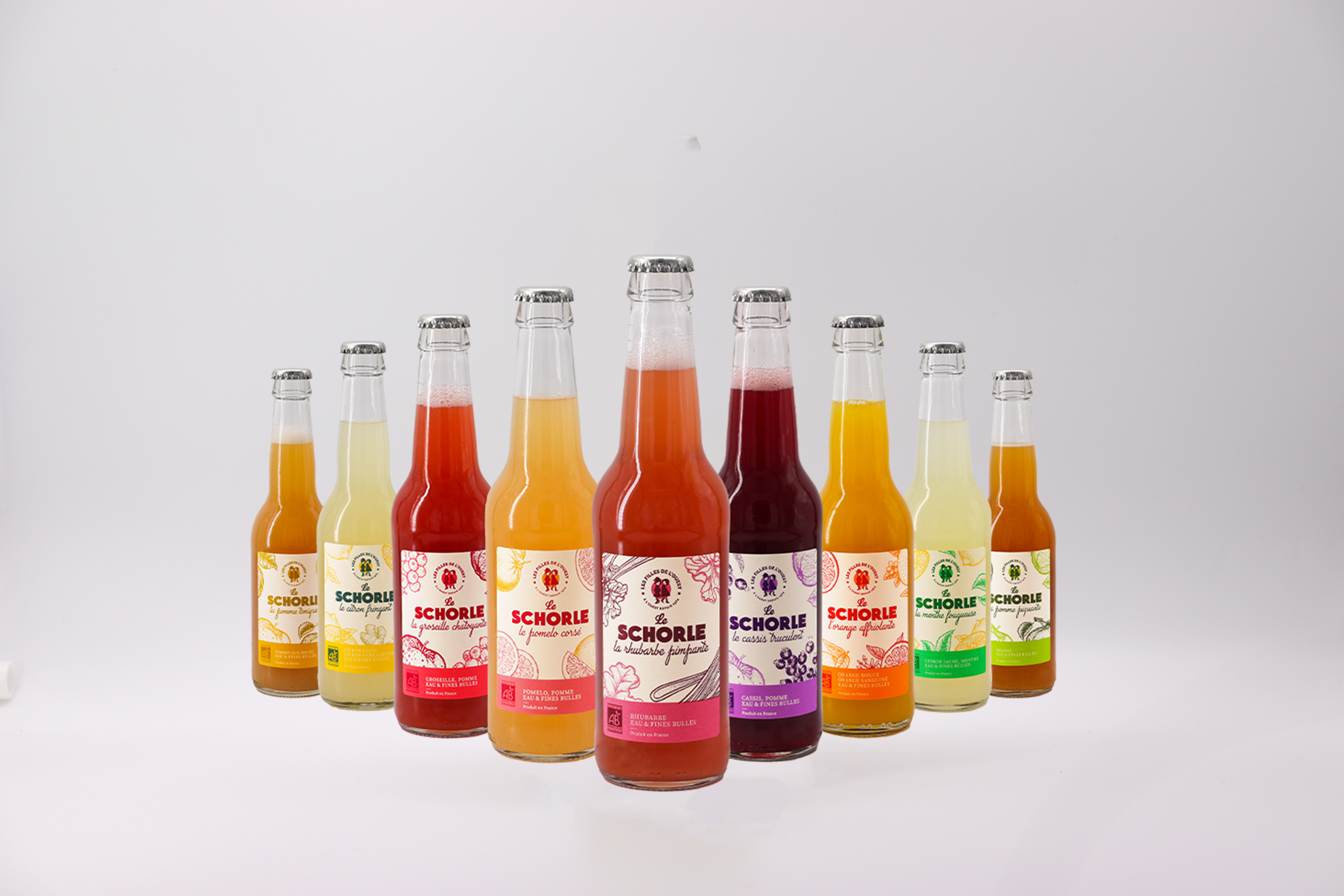 Le Pack Découverte<br>Schorles